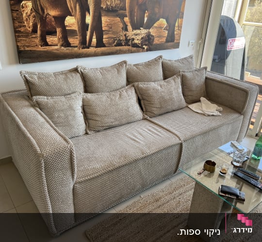ספה עם כריות ושולחן זכוכית עם חפצים